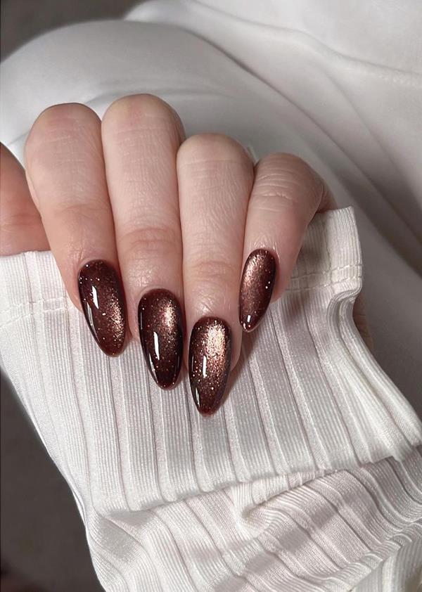 Hình nail mắt mèo màu nâu móng nhọn